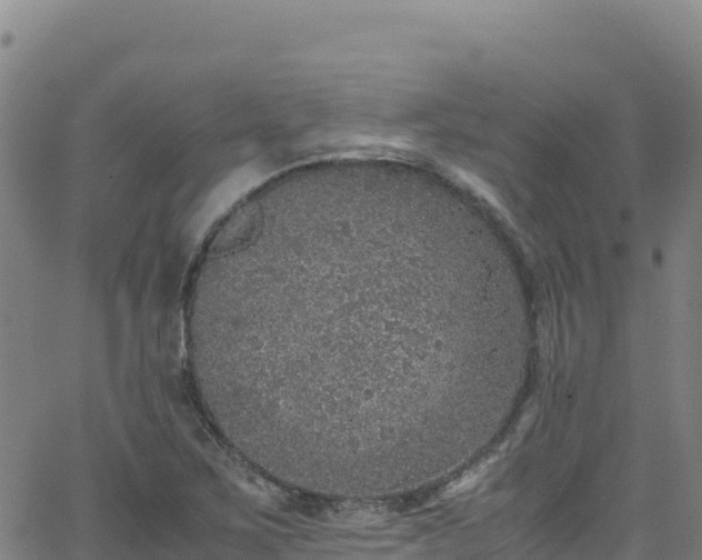 X0000062931267200601181300