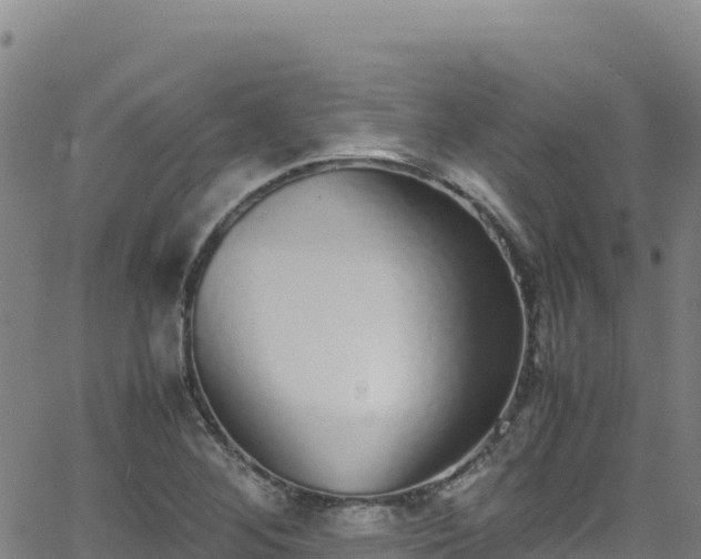 X0000062931268200601181300