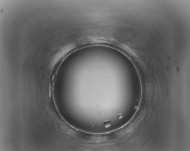 X0000062931269200601181300