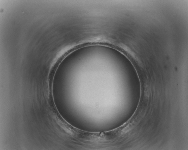 X0000062931270200601181300