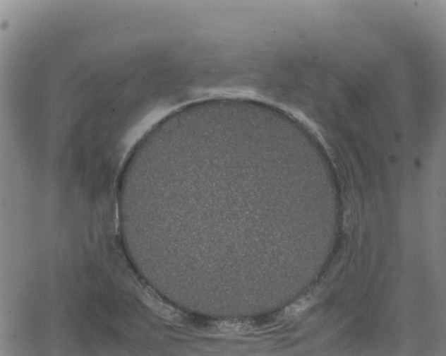 X0000062931271200601181300