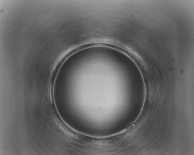 X0000062931272200601181300