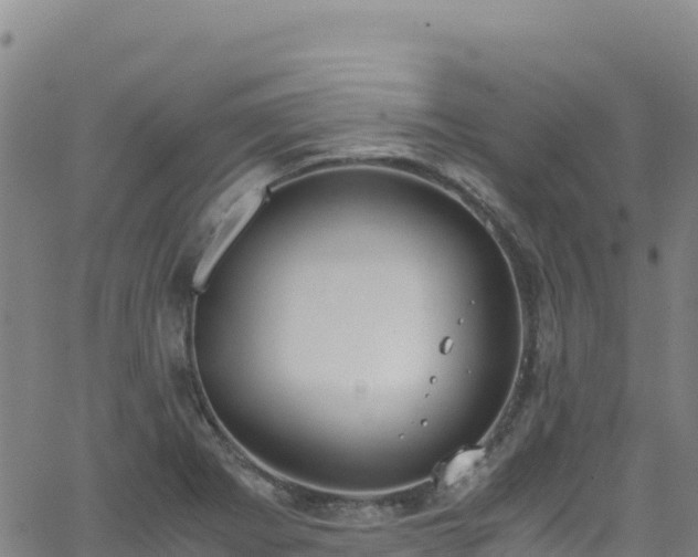 X0000062931273200601181300