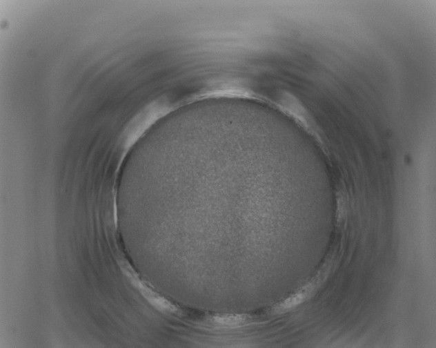 X0000062931274200601181300