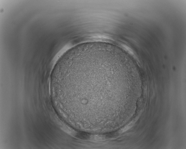 X0000062931275200601181300