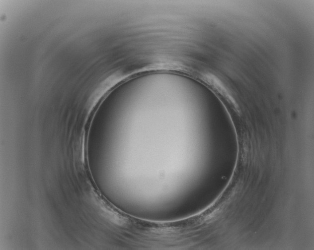 X0000062931276200601181300