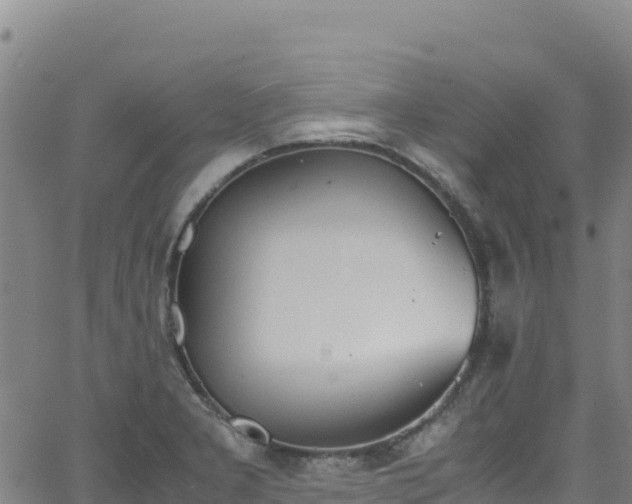 X0000062931277200601181300