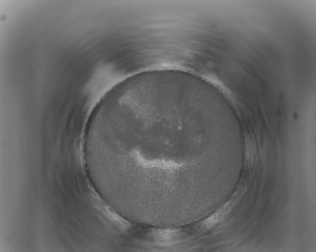 X0000062931278200601181300