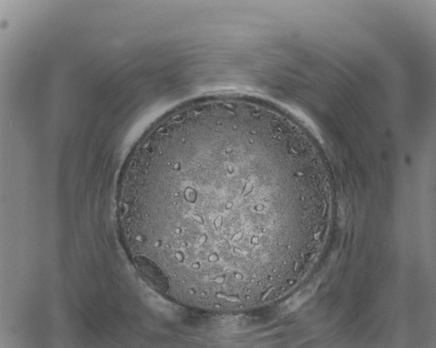 X0000062931279200601181300