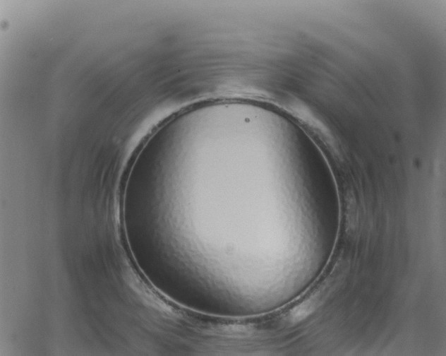 X0000062931280200601181300