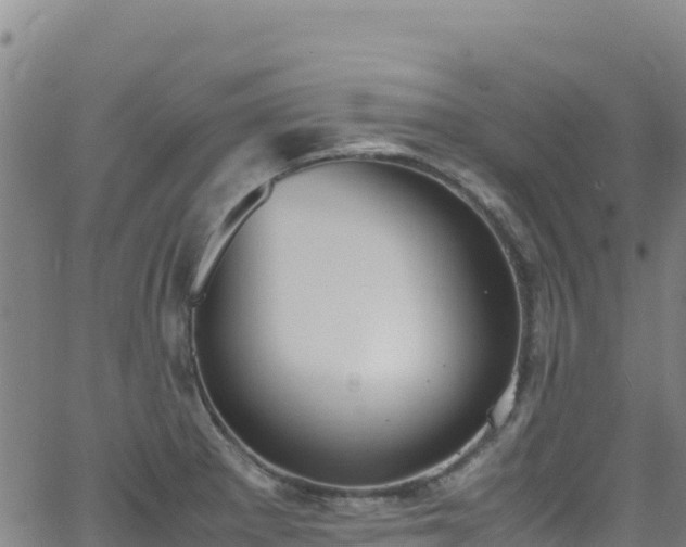 X0000062931281200601181300