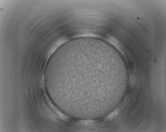 X0000062931282200601181300