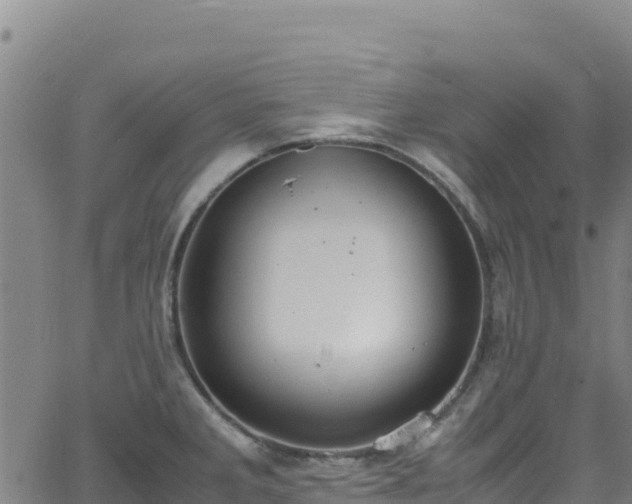 X0000062931285200601181300