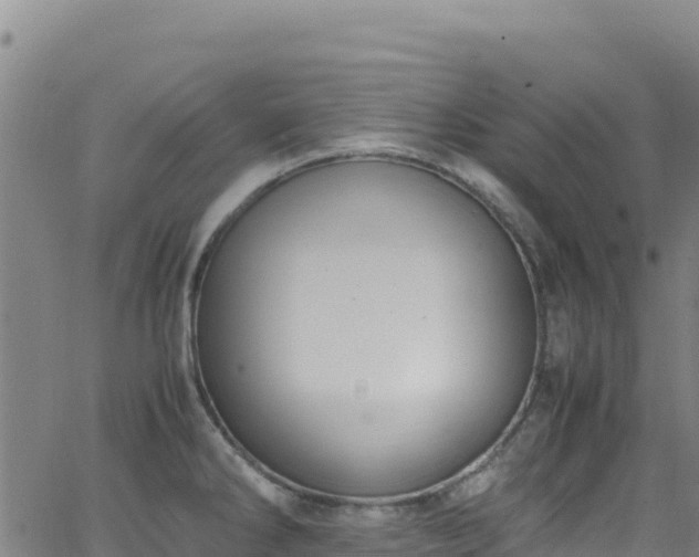 X0000062931286200601181300