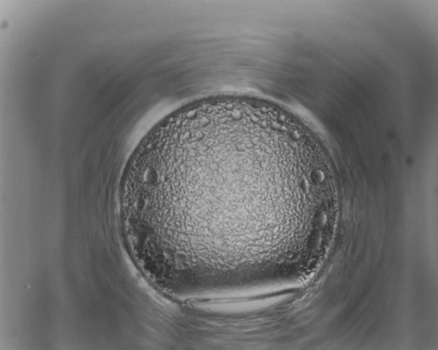 X0000062931287200601181300