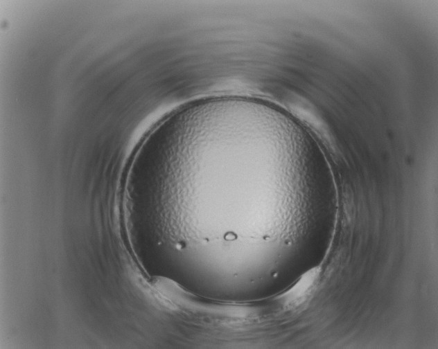 X0000062931288200601181300