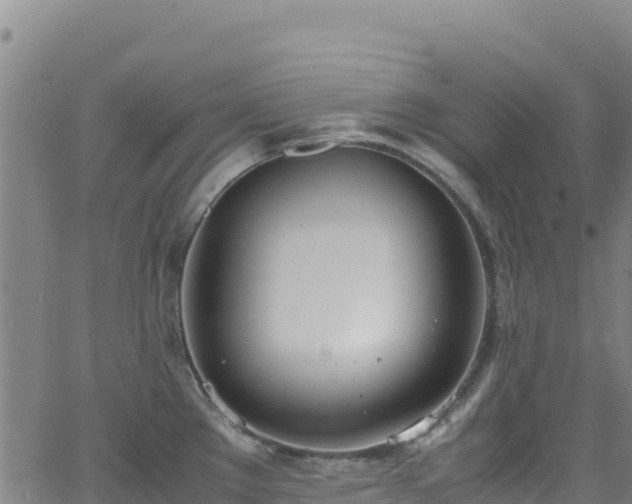 X0000062931289200601181300