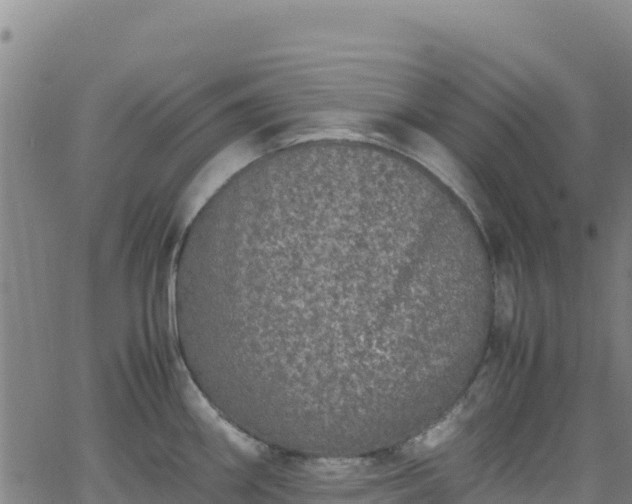 X0000062931290200601181300