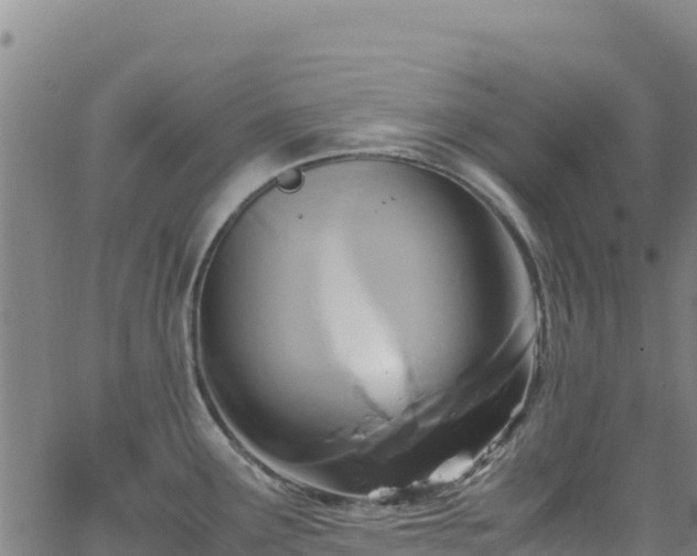 X0000062931291200601181300