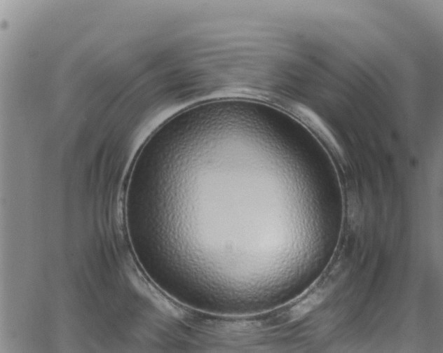 X0000062931292200601181300