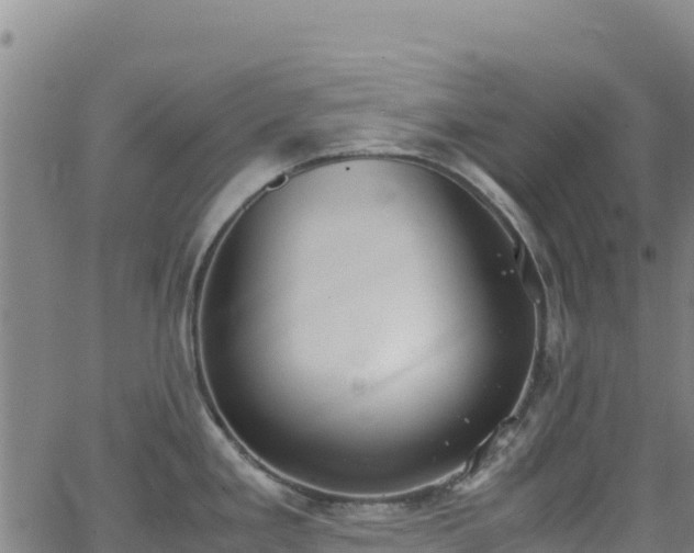 X0000062931293200601181300