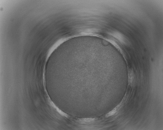 X0000062931294200601181300