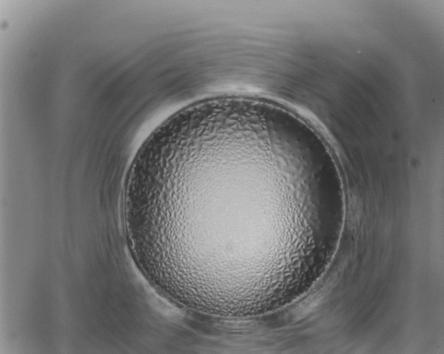 X0000062931295200601181300