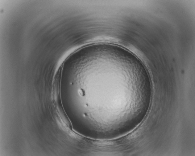 X0000062931296200601181300