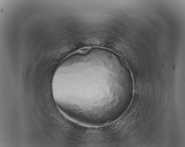 X0000062931297200601181259