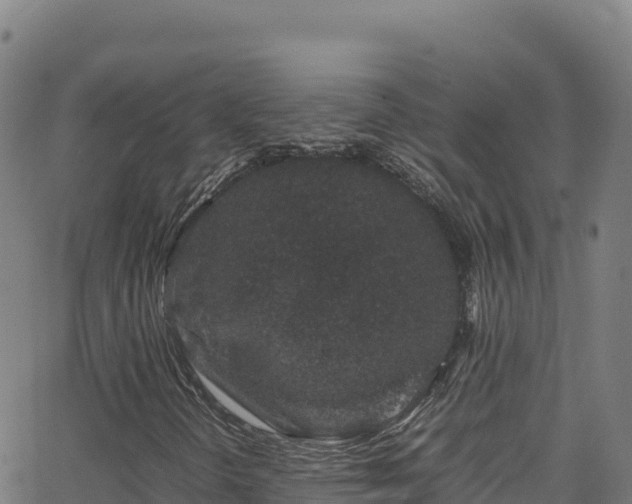 X0000062931298200601181259