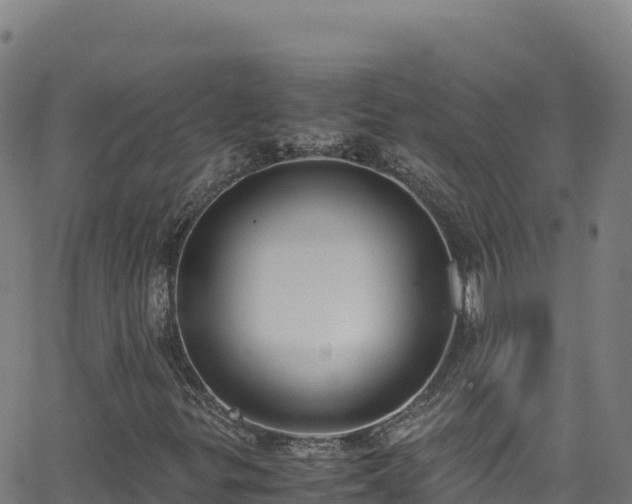 X0000062931299200601181259