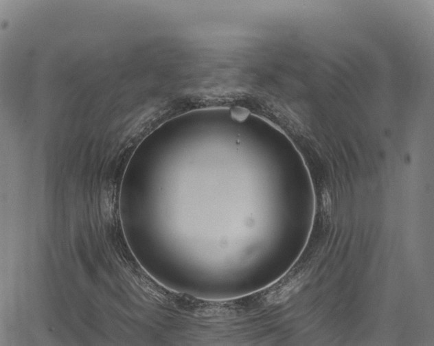 X0000062931300200601181259