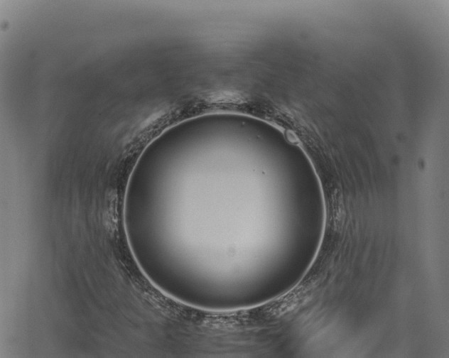 X0000062931301200601181259