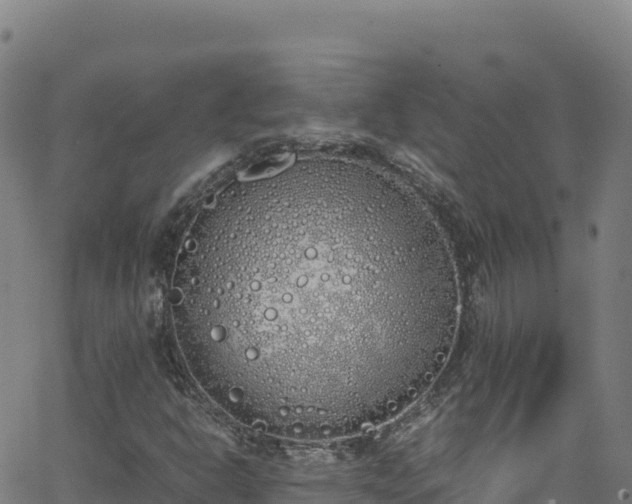 X0000062931302200601181259