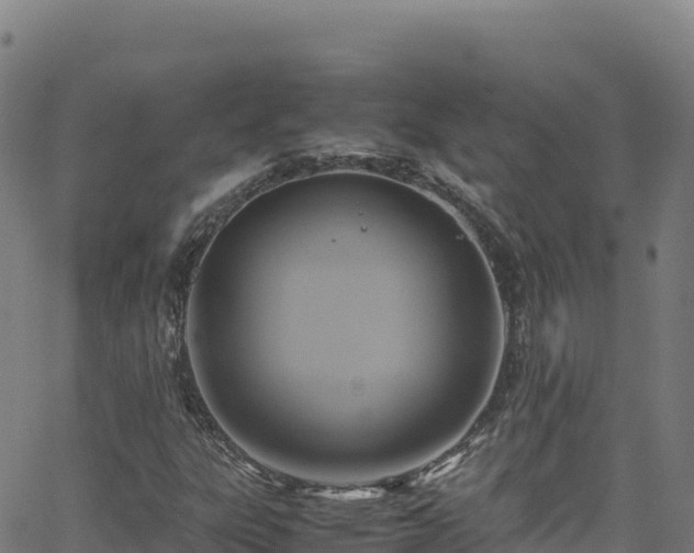 X0000062931303200601181259