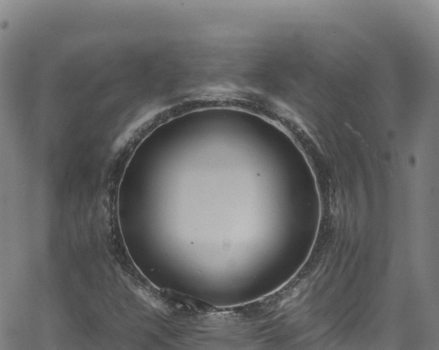 X0000062931304200601181259