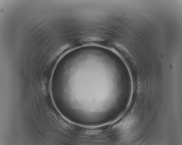 X0000062931305200601181259