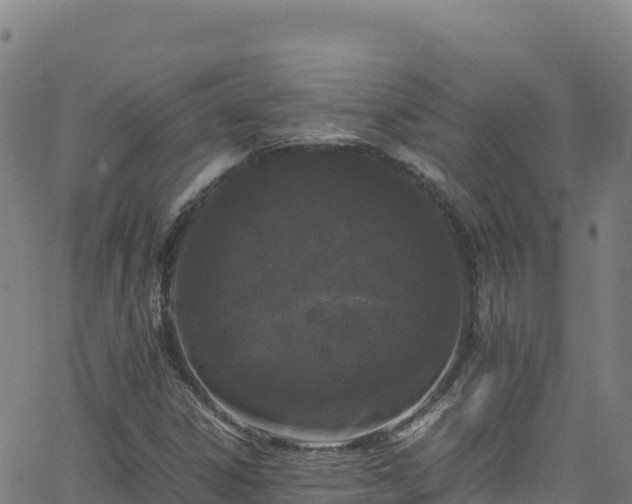 X0000062931306200601181259