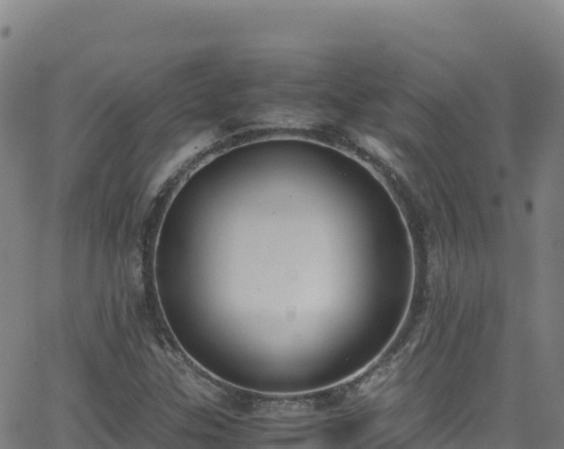 X0000062931307200601181259