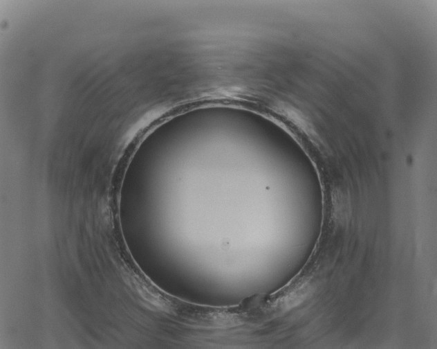 X0000062931308200601181259