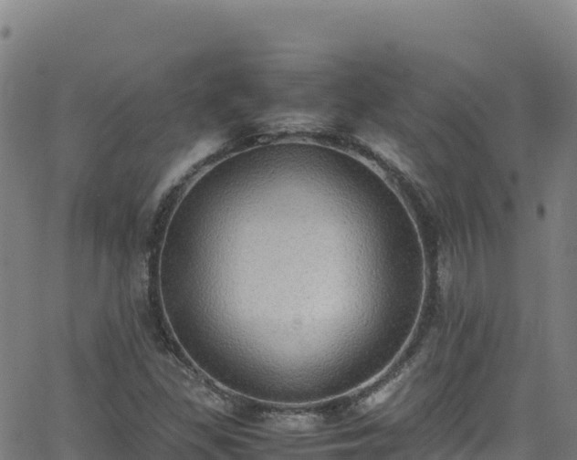 X0000062931309200601181259