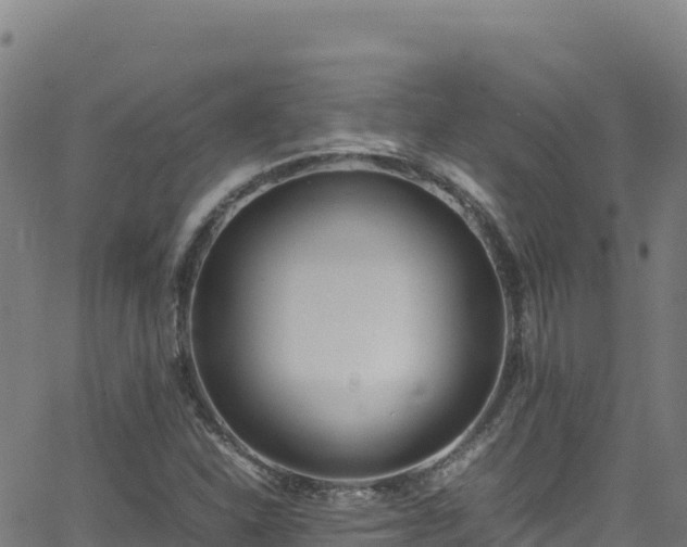 X0000062931310200601181259