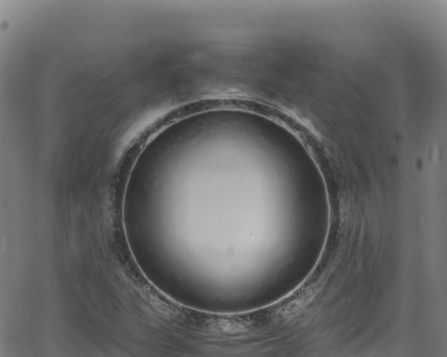 X0000062931311200601181259