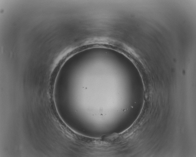 X0000062931312200601181259