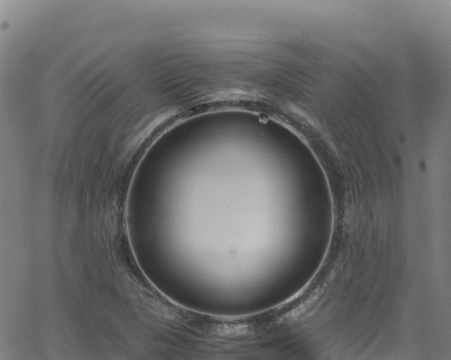 X0000062931313200601181259