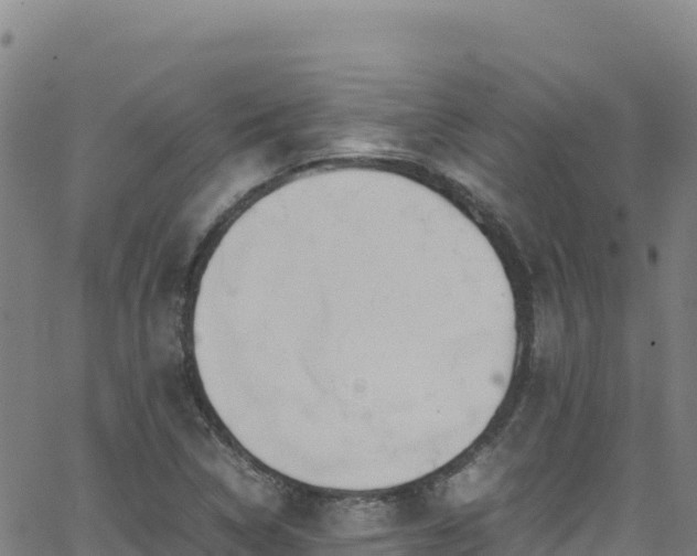 X0000062931314200601181259