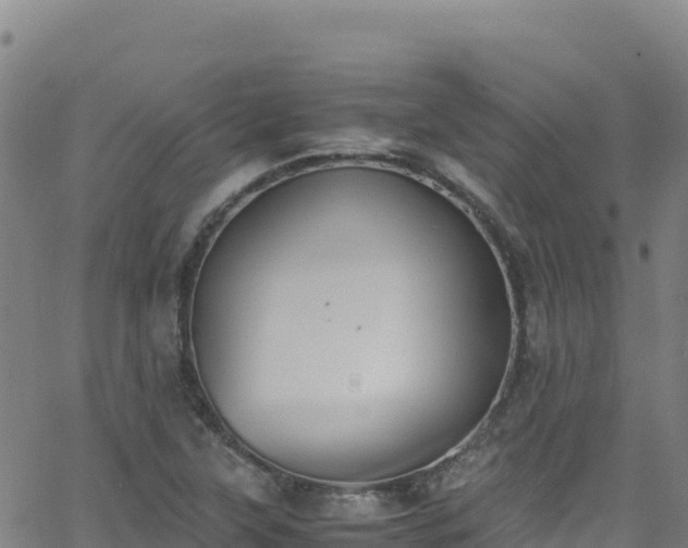 X0000062931315200601181300