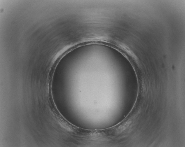 X0000062931316200601181300