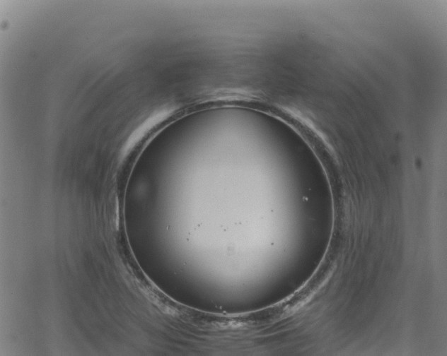 X0000062931317200601181300