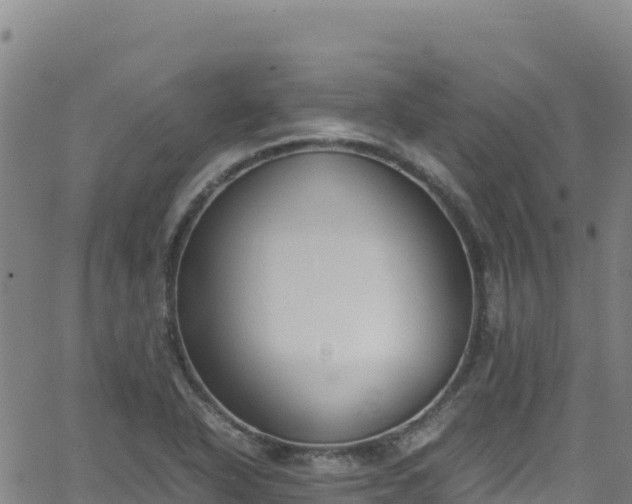 X0000062931318200601181300